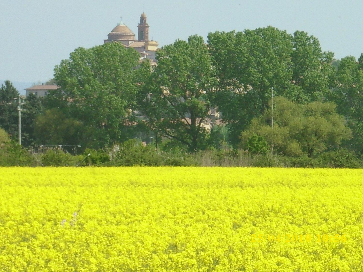 Residence Al Lago كاستيغليون ديل لاغو المظهر الخارجي الصورة
