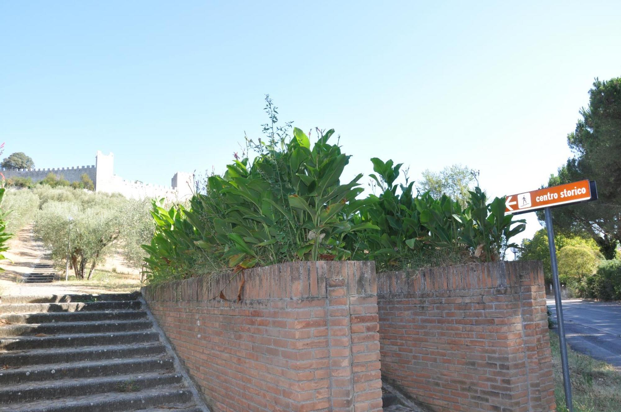 Residence Al Lago كاستيغليون ديل لاغو المظهر الخارجي الصورة